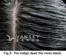 260616162546_Hair-Dyed with indigo-s.jpg